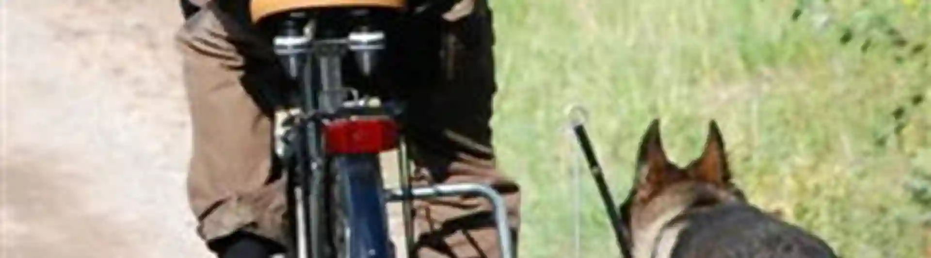 UHP schäfer med cykel