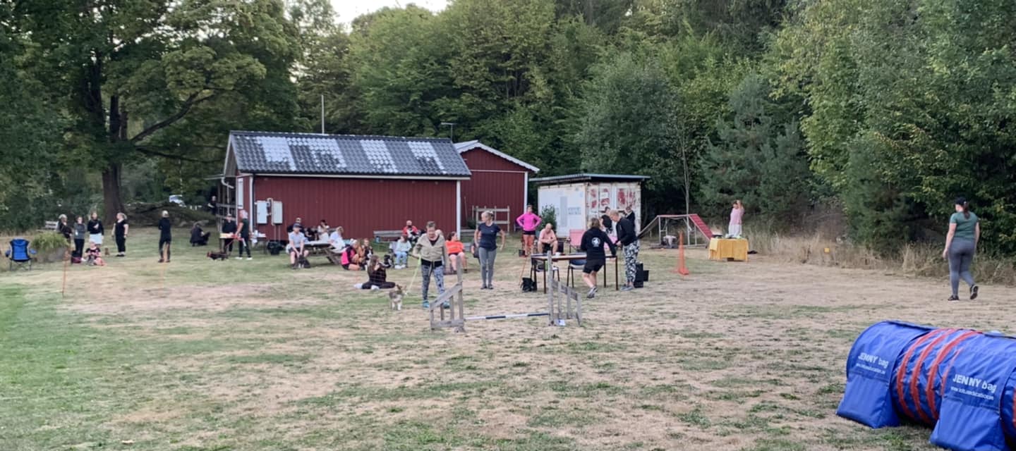 Blåbärstävling 2022