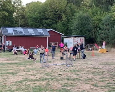 Blåbärstävling 2022