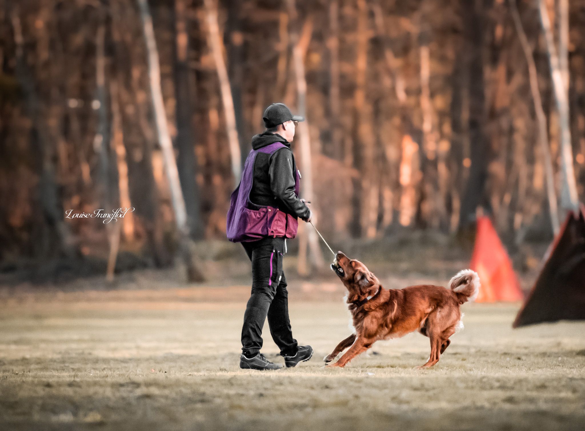 Förare och hund leker med leksak