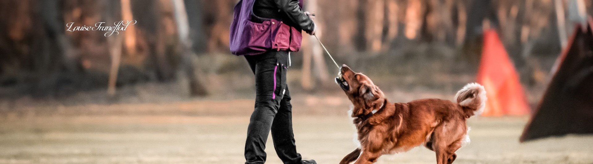 Förare och hund leker med leksak