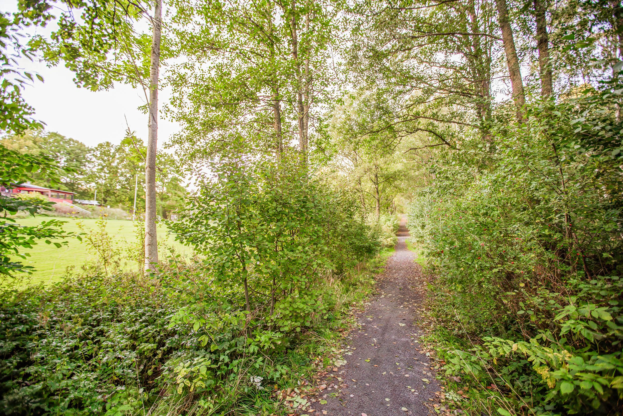 Naturreservat