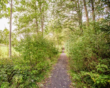 Naturreservat