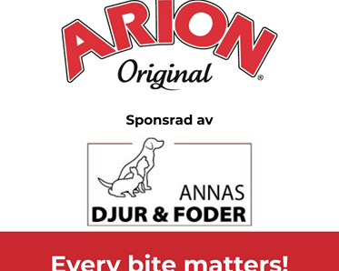 Logga sponsor