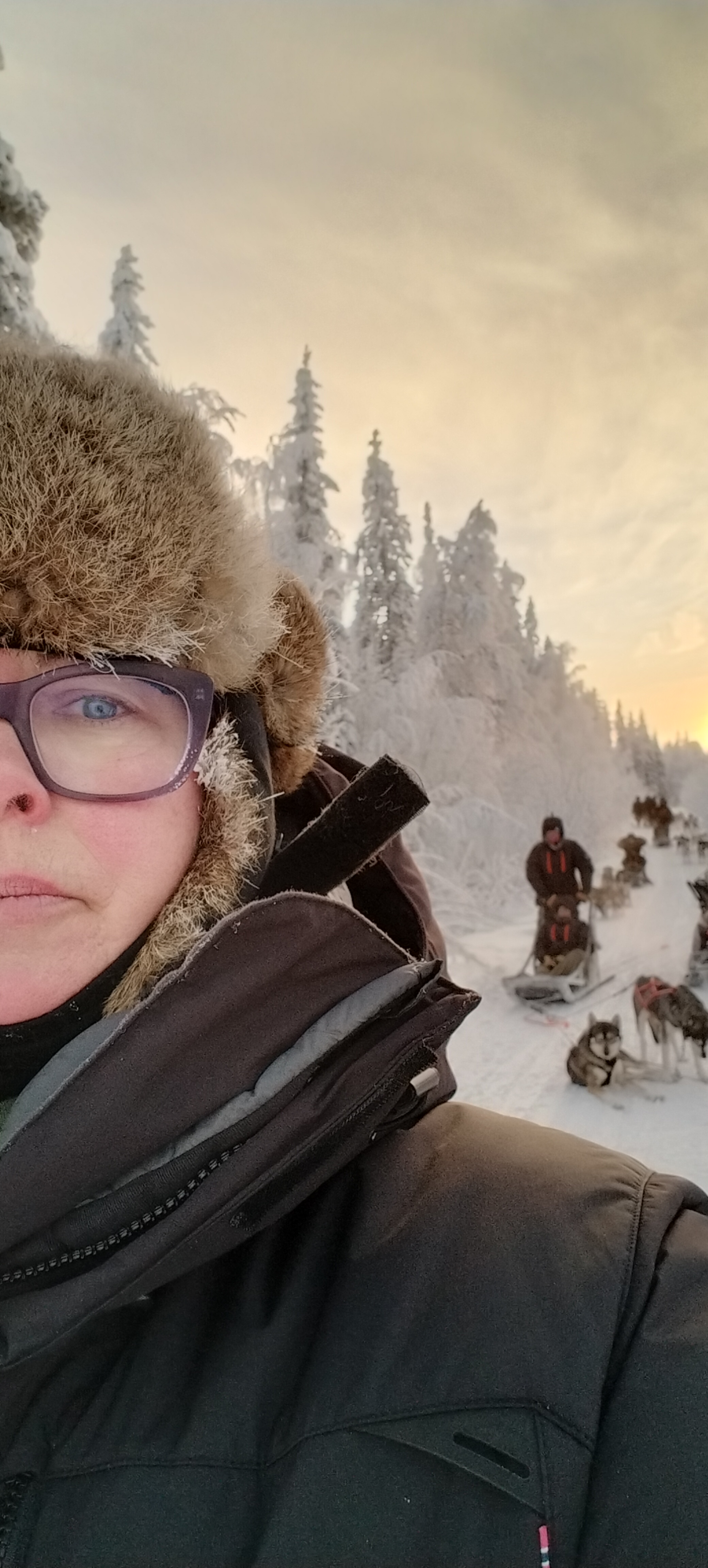 Sara Mååg och draghundar