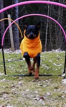 Hoopers träning