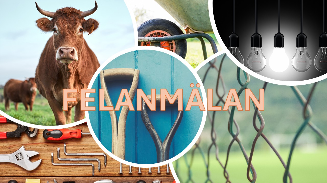 Felanmälan med länk