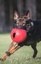 Kontakta utbildningssektorn