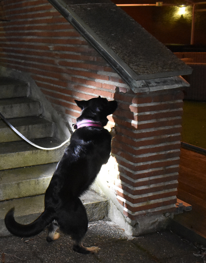 Byling markerar på Lidingö på en mur