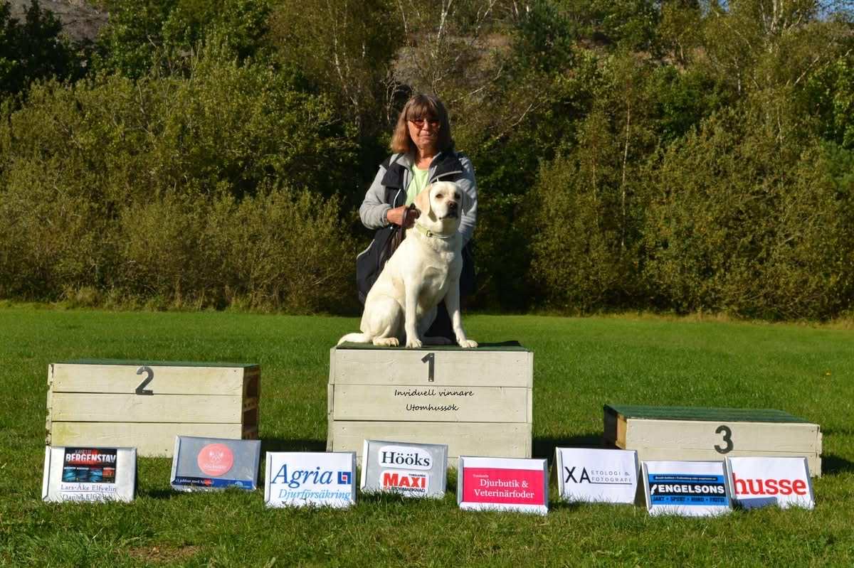 Vinnare utomhus nosework