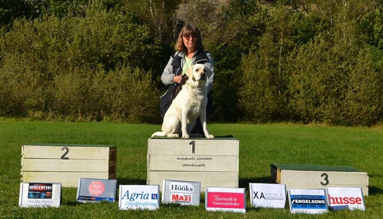 Vinnare utomhus nosework