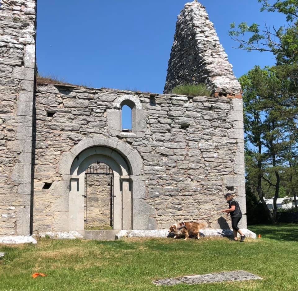 Specialsök i Ganns ödekyrka