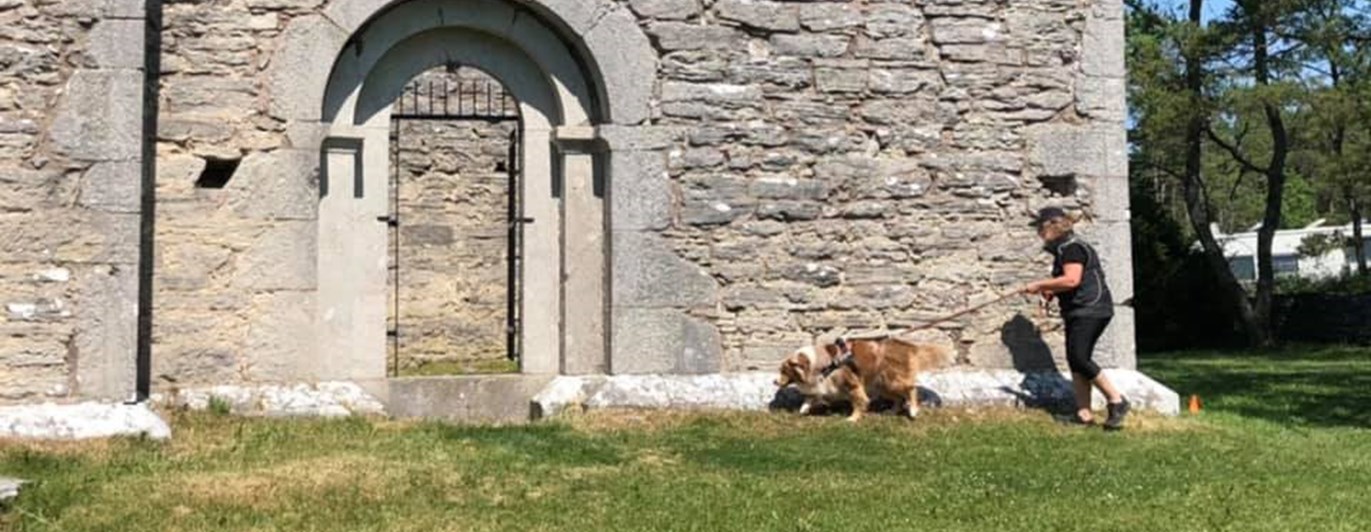 Specialsök i Ganns ödekyrka