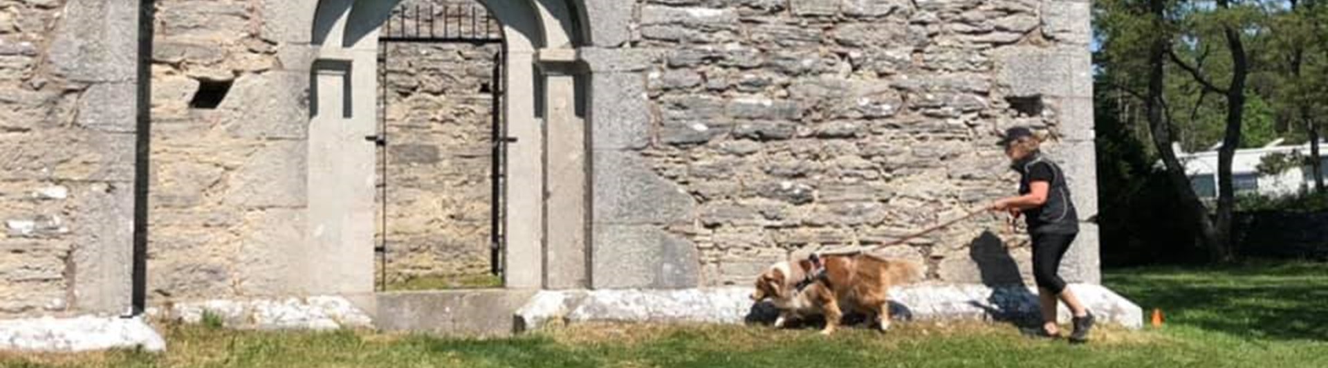 Specialsök i Ganns ödekyrka