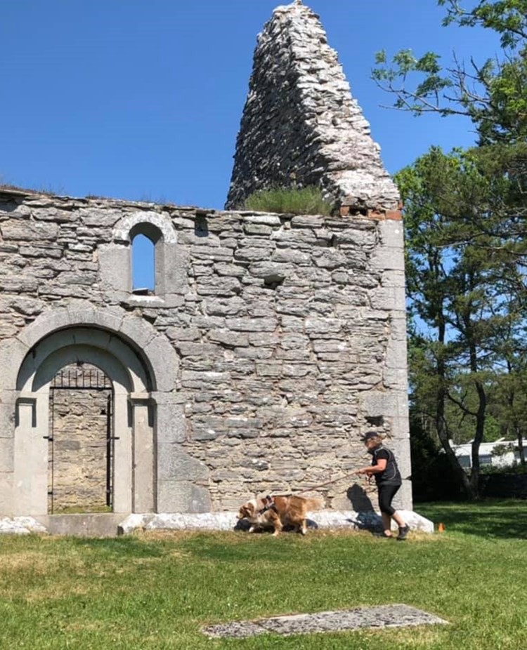 Specialsök i Ganns ödekyrka