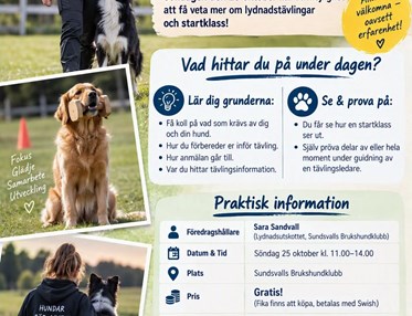 2003
