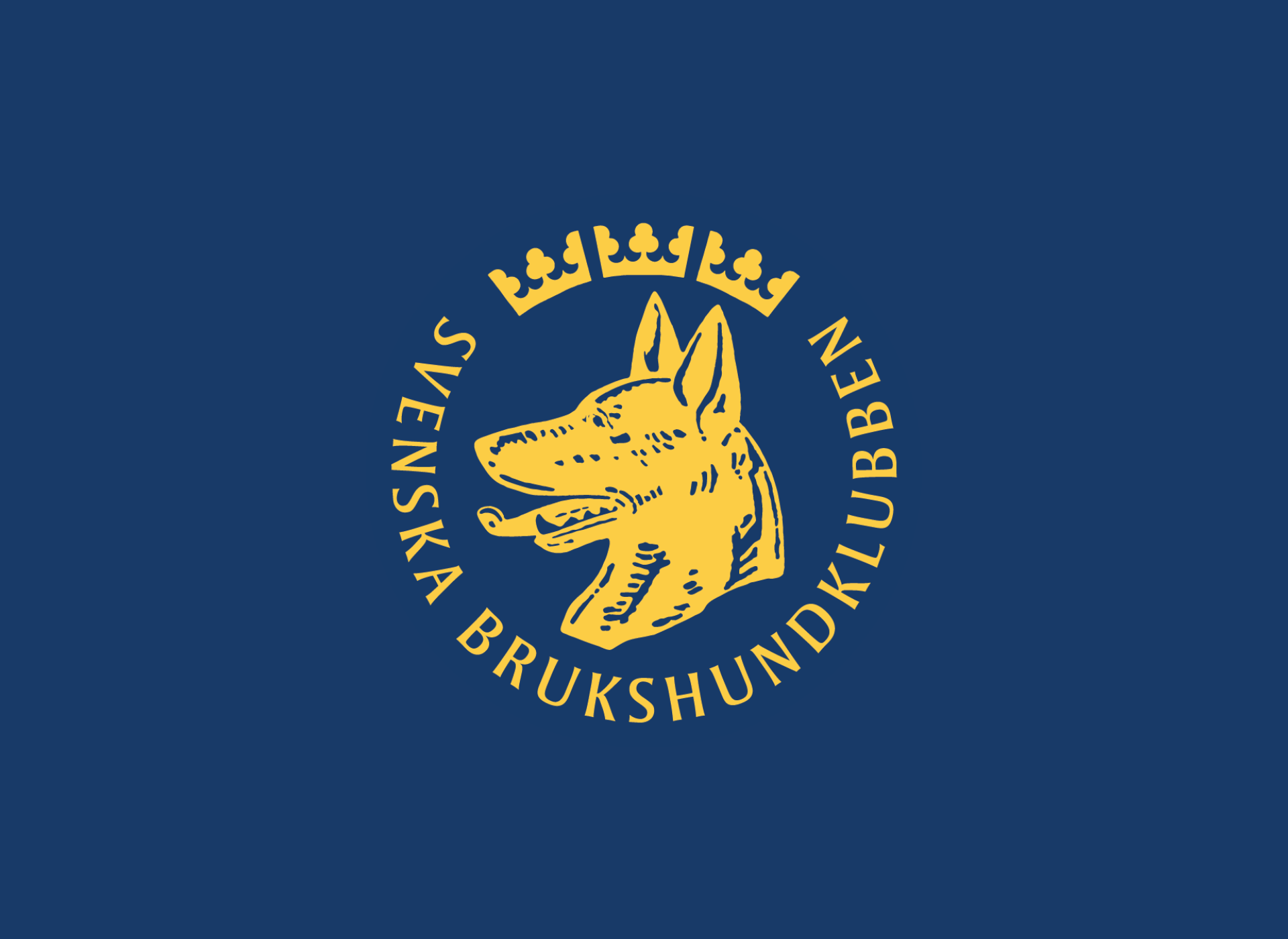 SBK logga på blå bakgrund