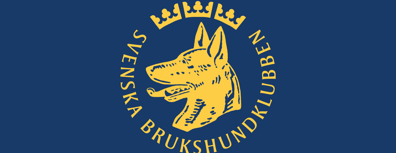 SBK logga på blå bakgrund