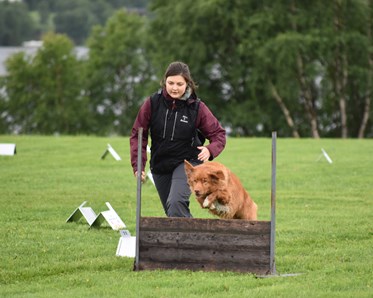 Hopphinder Rallylydnadstävling 1-2 juli 2023.