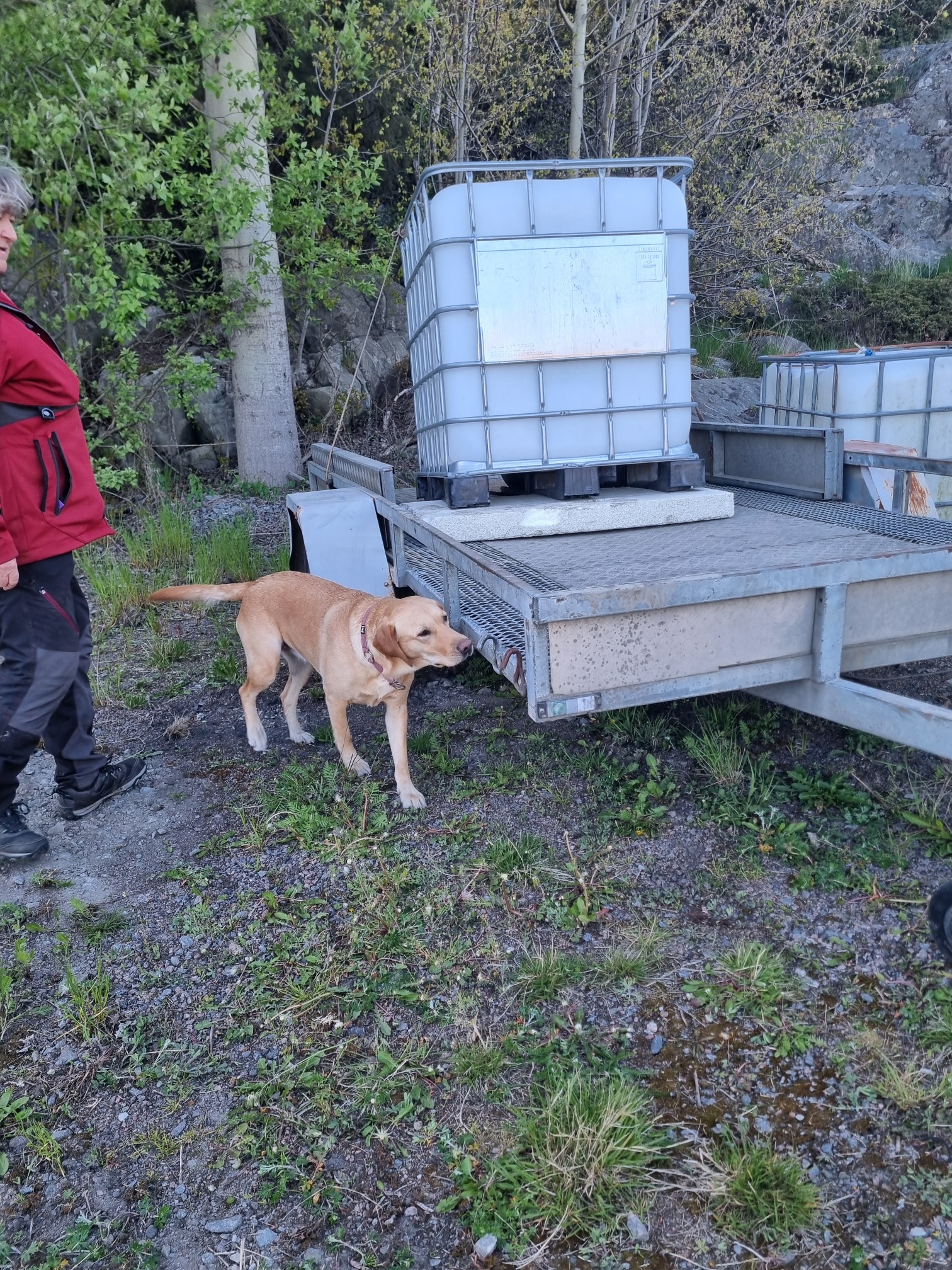Torslanda-Öckerö Brukshundklubb nosarbete