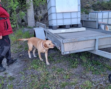 Torslanda-Öckerö Brukshundklubb nosarbete