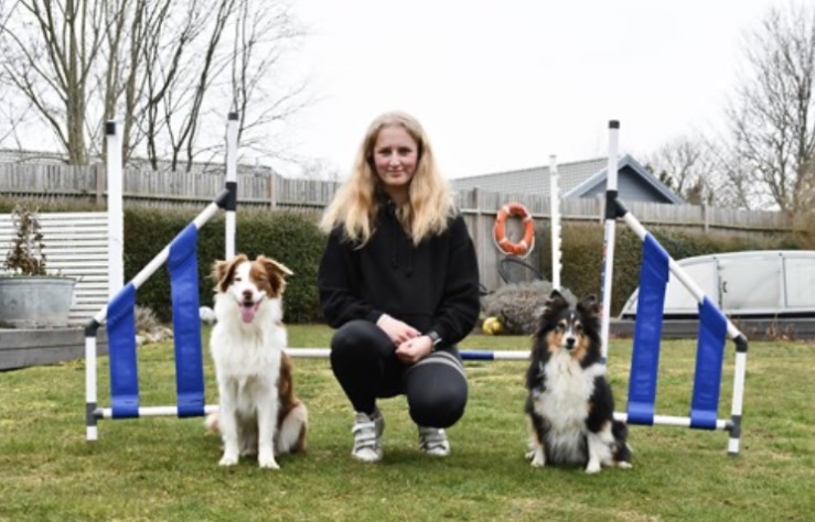 Ebba sitter i mitten av två agility hinder och har sina 2 hund bakom varsitt av hindrena