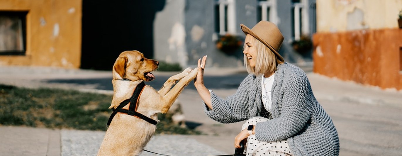 vänner flicka och hund
