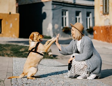 vänner flicka och hund