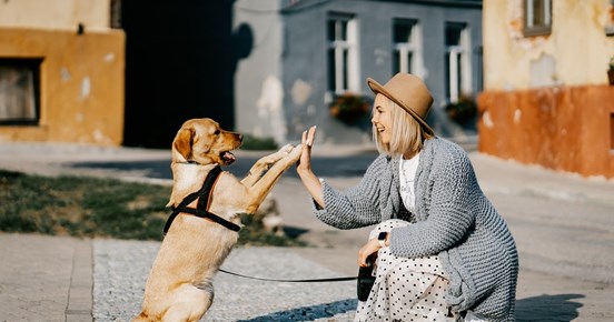 vänner flicka och hund