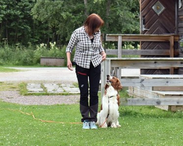 Ingrid och sin Welsh springer spaniel