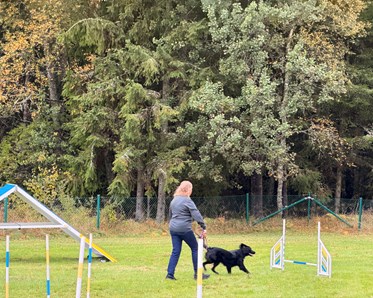 En hund med förare rör sig mot ett hinder i Agility