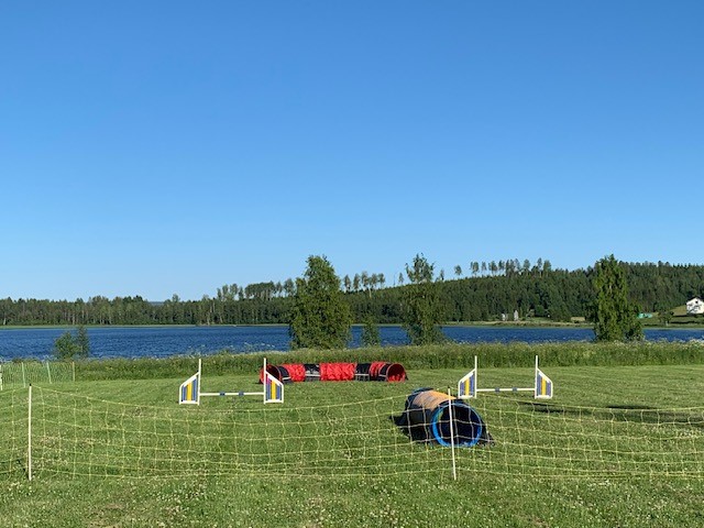 Inhägnad agilityplan