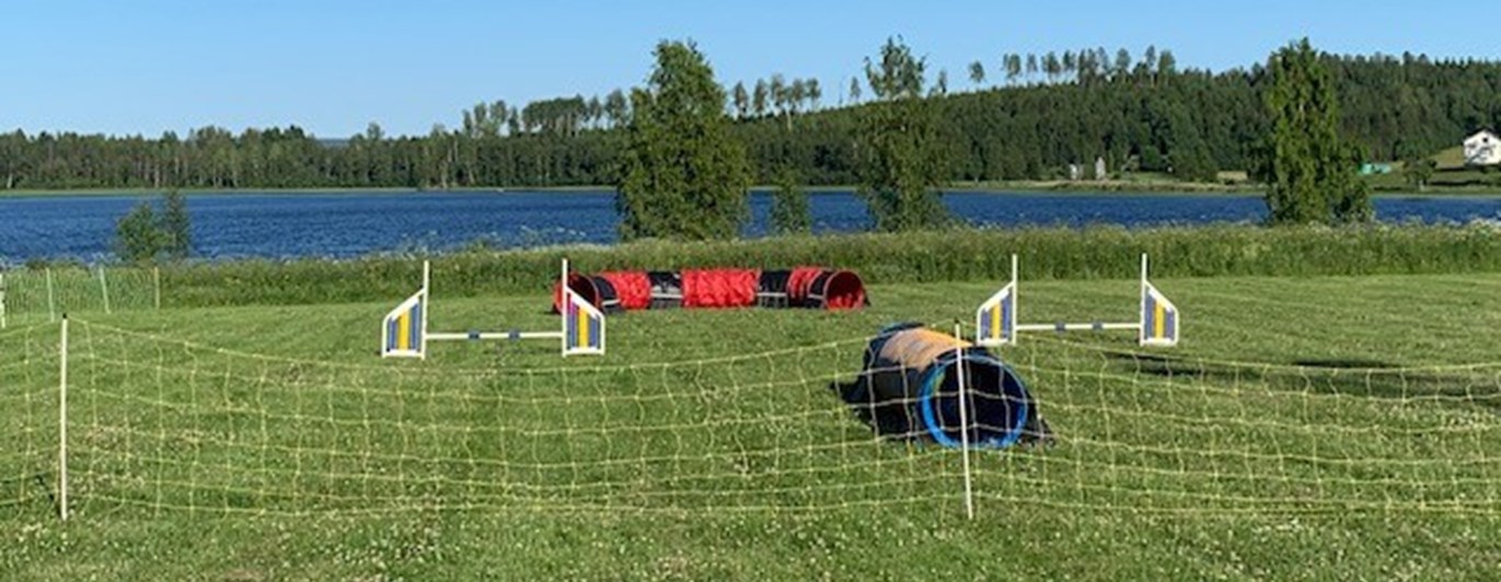 Inhägnad agilityplan