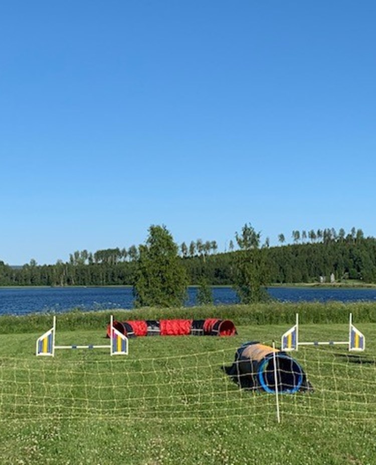 Inhägnad agilityplan