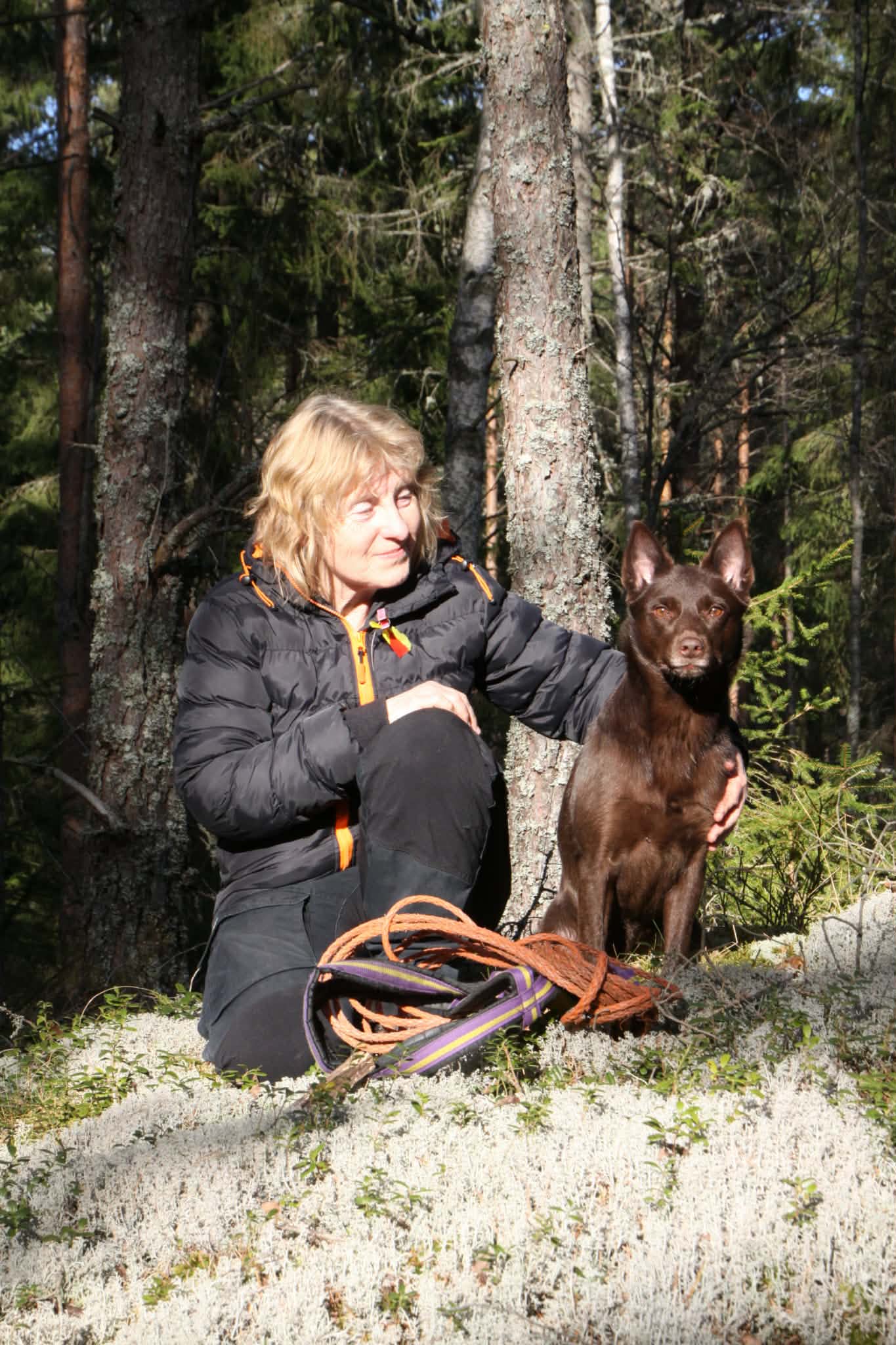 Ann-Sofie Lindgren sitter i en solig glänta med sin bruna kelpie och de har precis gått ett spår.