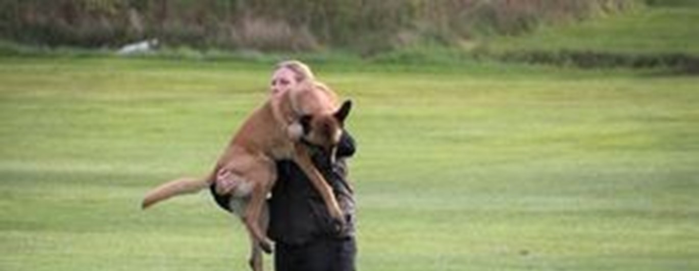 Hund blir lyft i IPO-R