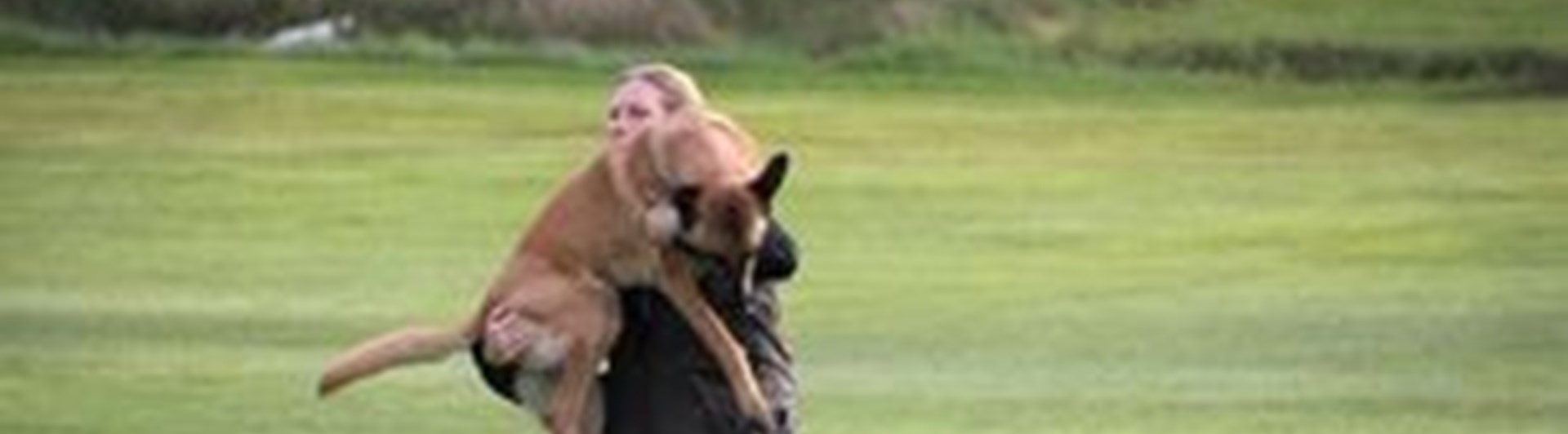 Hund blir lyft i IPO-R