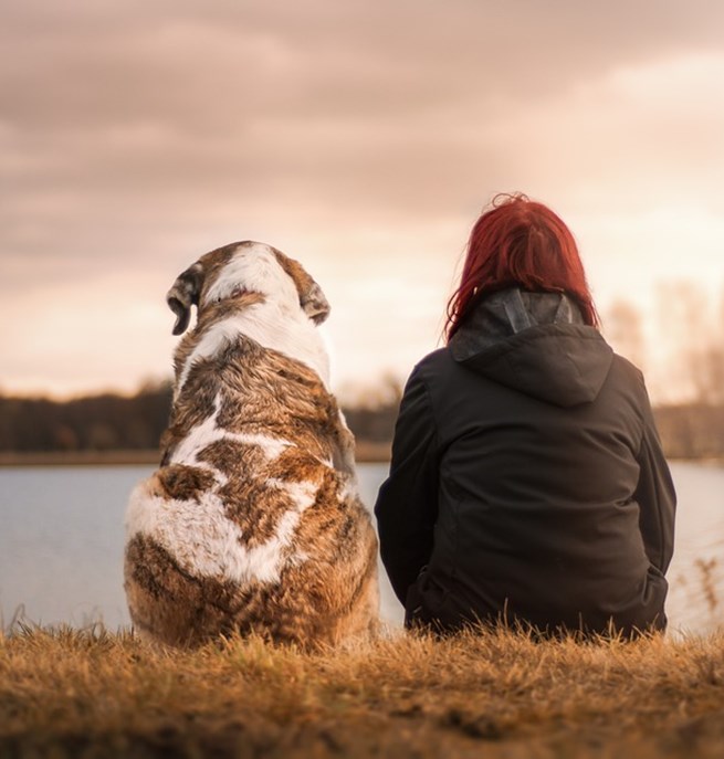 Vänner hund o flicka