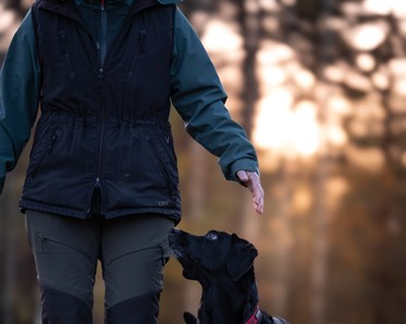 Labrador i rallylydnad
