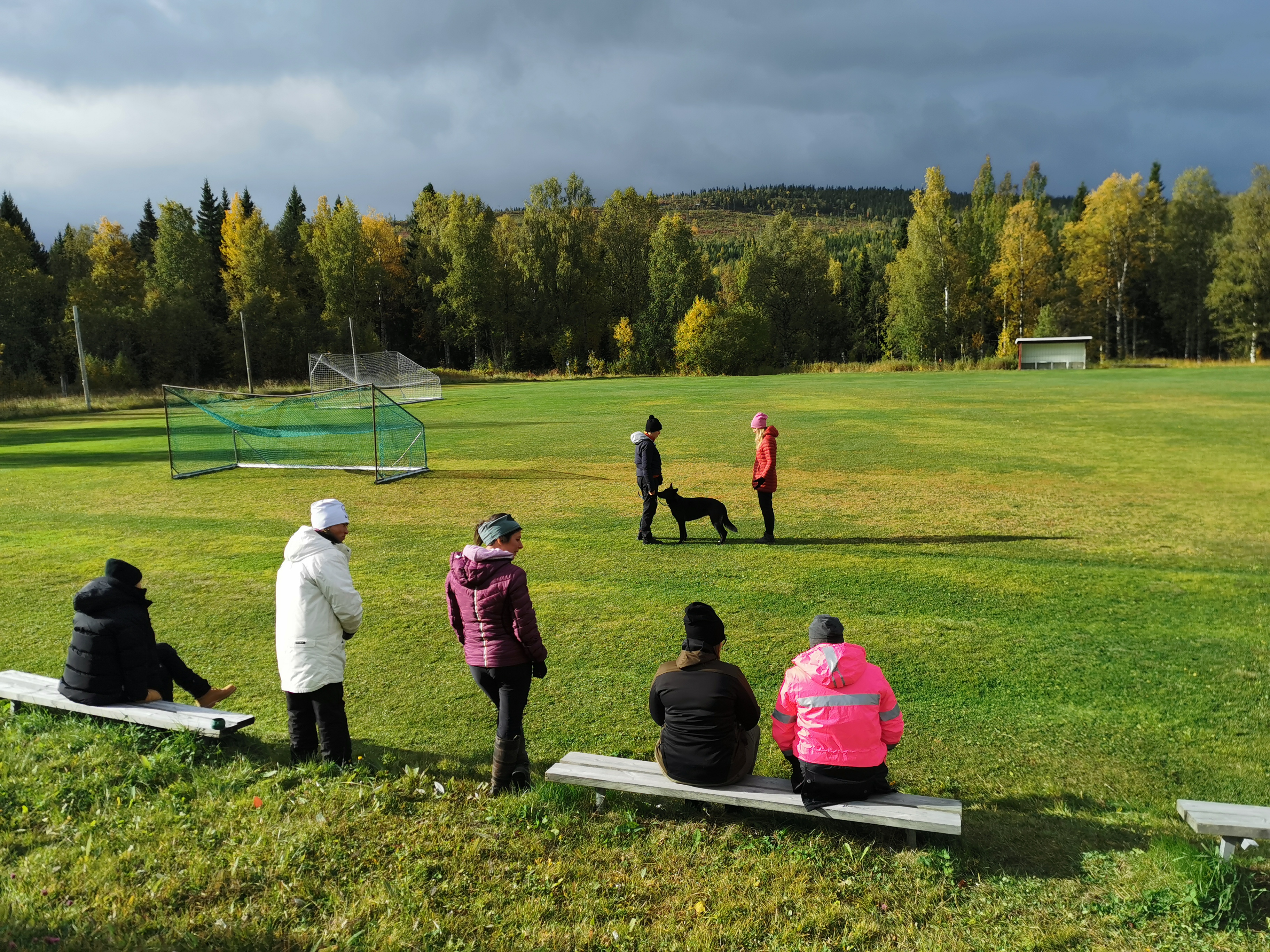 Publik tittar på ett hundekipage på träningsplan, en instruktör instruerar.