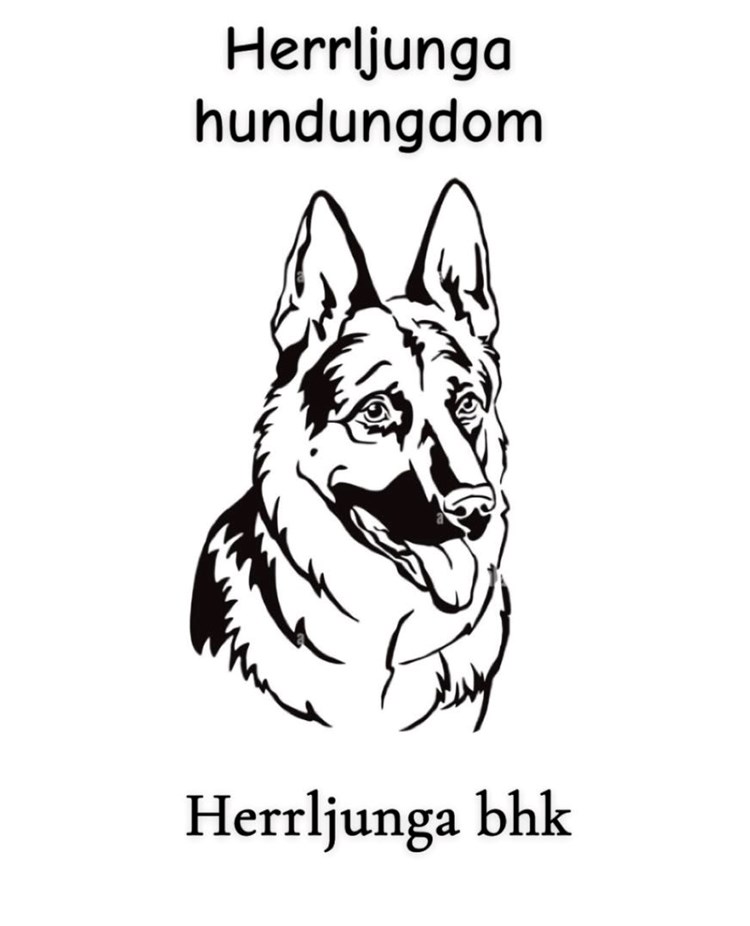 Herrljunga Hundungdoms logga