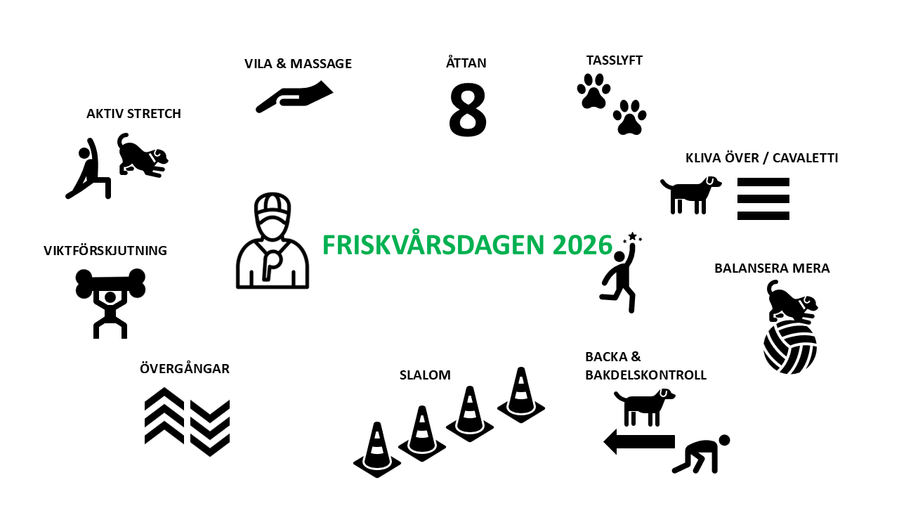 Inbjudan till Friskvård 20260705