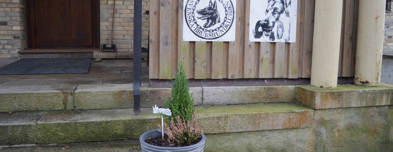 Bild på klubbstugans entre med en blomkruka med en välkommenskylt,