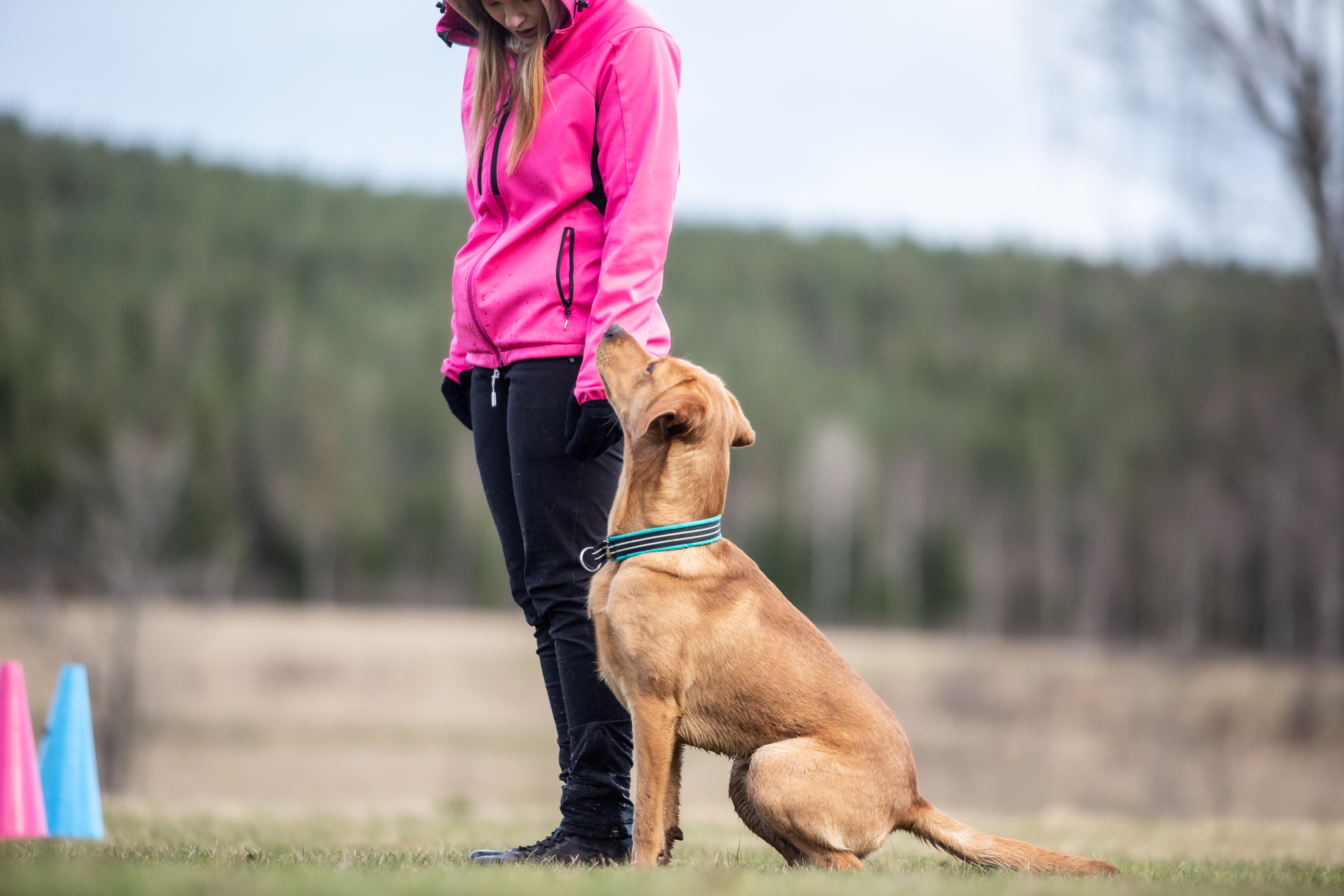 Solo och Lovisa

Bild: Alva Högkvist