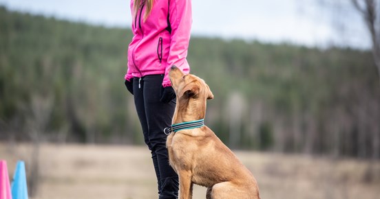 Solo och Lovisa
Bild: Alva Högkvist