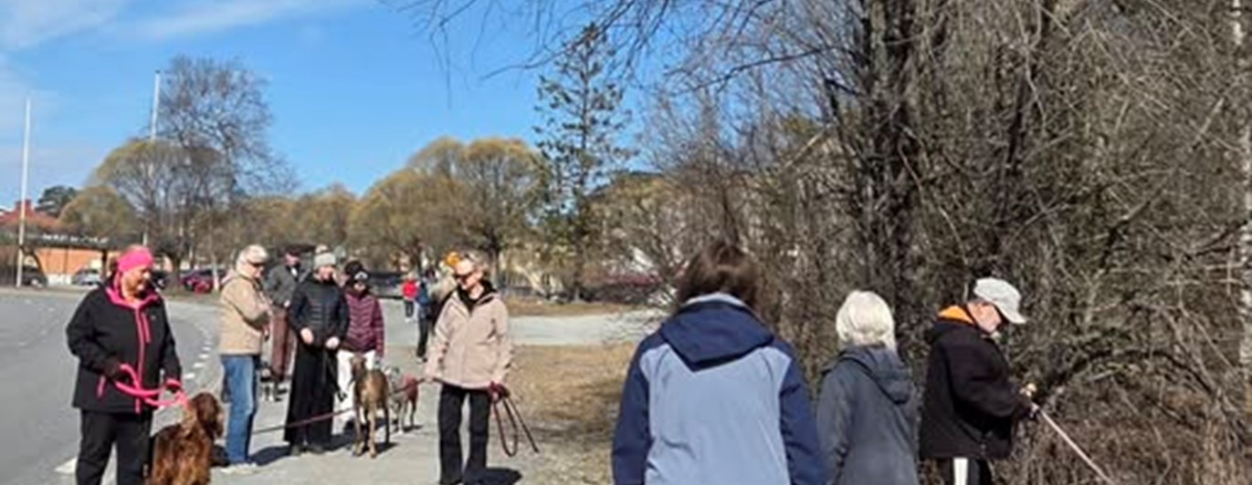 Här visas bild på en av våra promenader