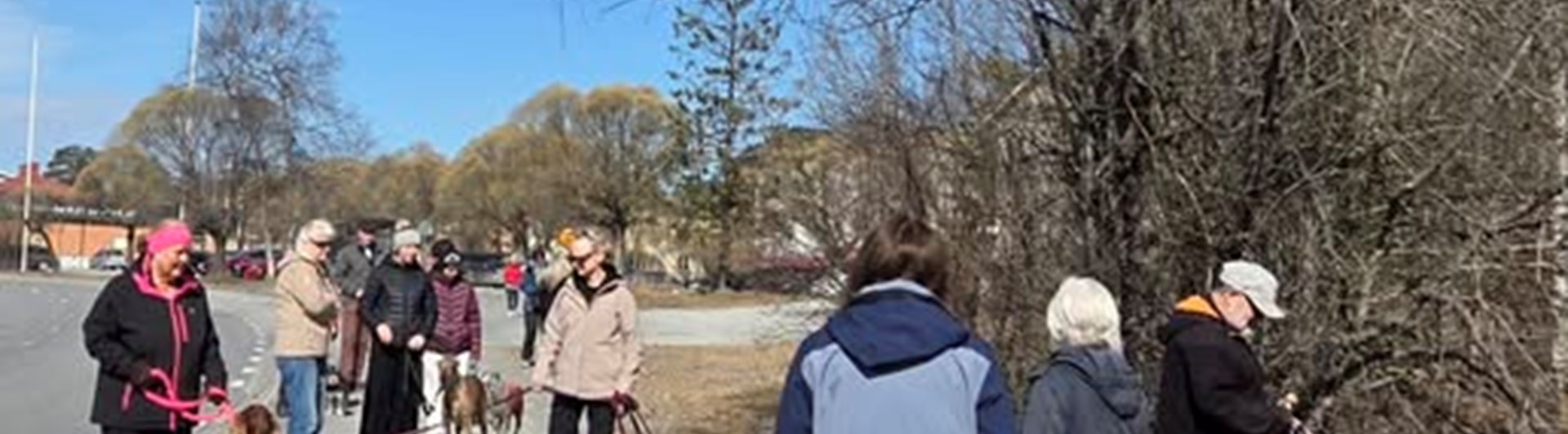 Här visas bild på en av våra promenader