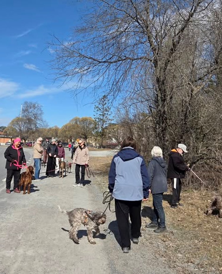 Här visas bild på en av våra promenader