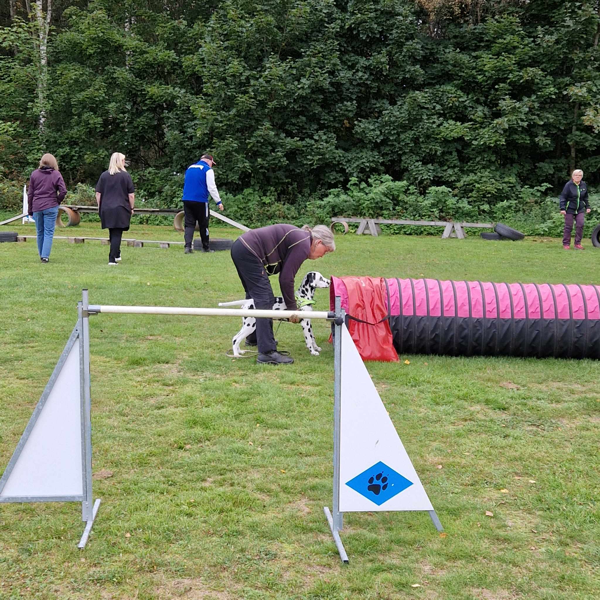 Hundens dag en dalmatiner ska springa i tunneln