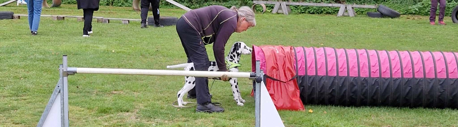 Hundens dag en dalmatiner ska springa i tunneln